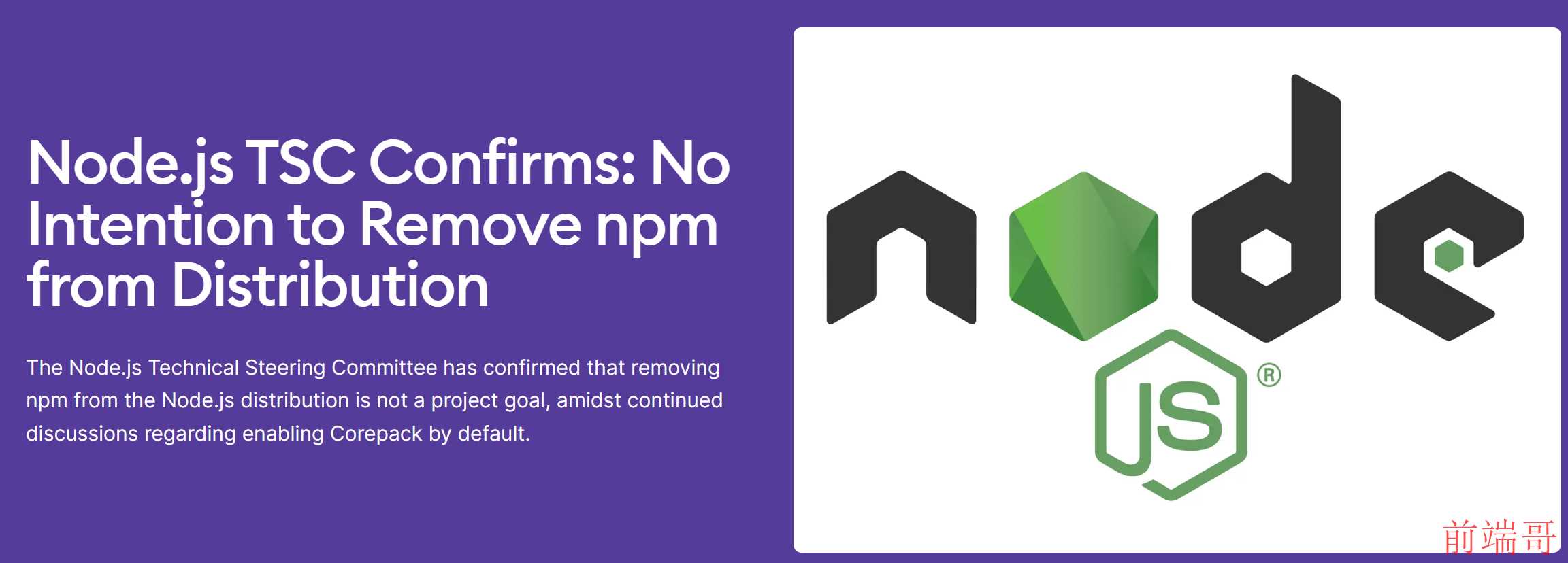 Nodejs 技术指导委员会证实不会移除内置的npm包管理工具