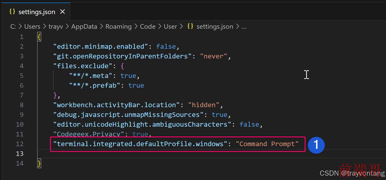 vscode 用户配置终端