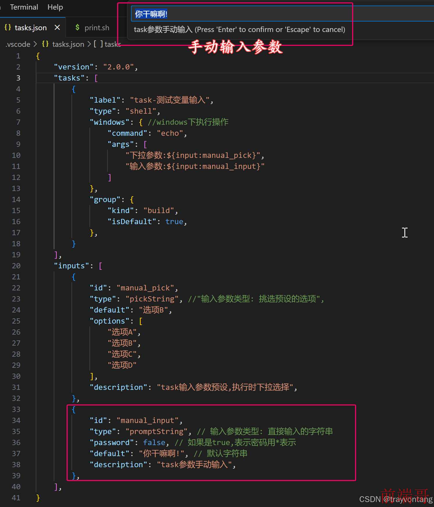 vscode 任务输入参数