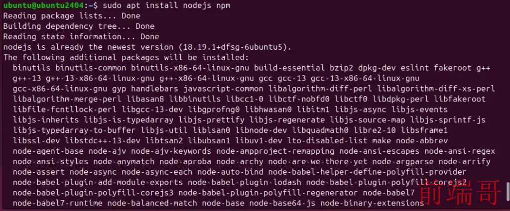 默认 Nodejs 和 NPM 安装